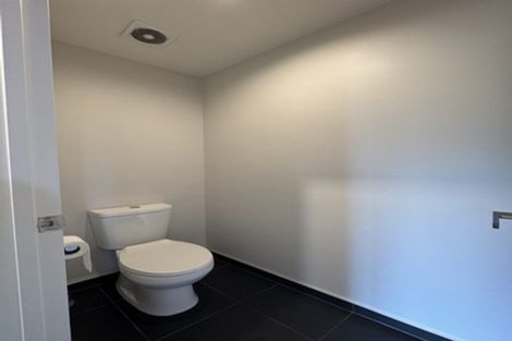 Photo of property in 71 Essex Street, Phillipstown, Christchurch, 8011