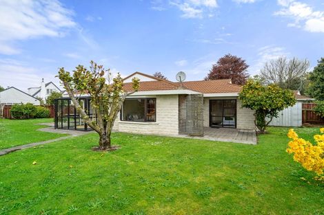 Photo of property in 9b Cooper Street, Lansdowne, Masterton, 5810