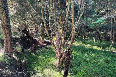 Photo of property in 171 Arcadia Road, Paparoa, 0571