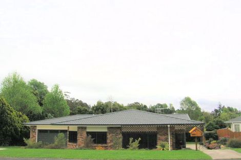 Photo of property in 63 Shaw Avenue, Paeroa, 3600