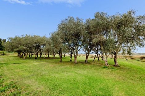 Photo of property in 166 Prestidge Road, Aongatete, Katikati, 3181