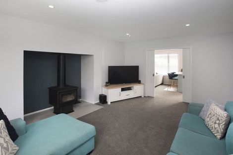Photo of property in 119 Stanbury Avenue, Somerfield, Christchurch, 8024