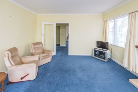 Photo of property in 113 Ingestre Street, Whanganui, 4500