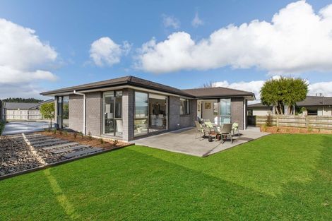Photo of property in 7 Brian Cowley Place, Tuakau, 2121
