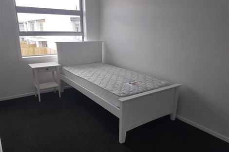 Photo of property in 28 Portland Lane, Chartwell, Hamilton, 3210