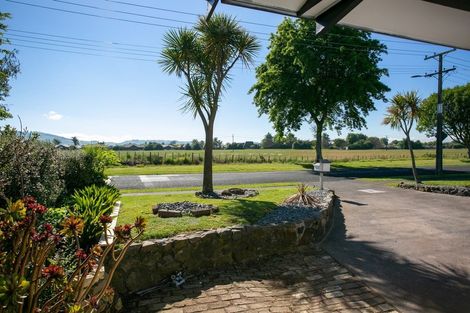 Photo of property in 56 Maclean Street, Cambridge, 3434