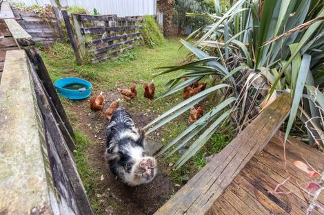 Photo of property in 446 Carrington Street, Upper Vogeltown, New Plymouth, 4310