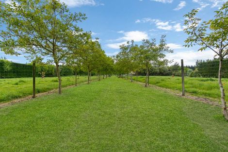 Photo of property in 175 Normanby Road, Rakaia, 7784