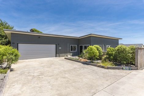 Photo of property in 201a Tiro Tiro Road, Levin, 5510