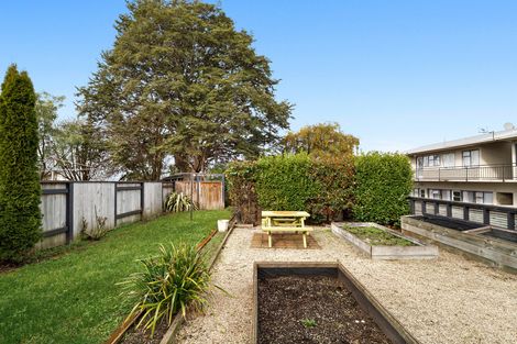 Photo of property in 116 London Street, Dunedin Central, Dunedin, 9016