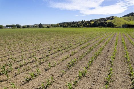 Photo of property in 622 Lavenham Road, Waituhi, Gisborne, 4072