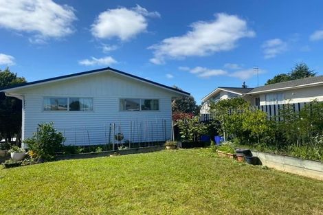 Photo of property in 10 Mirovale Place, Totara Vale, Auckland, 0629
