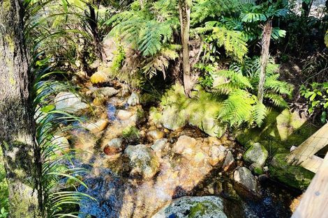 Photo of property in 600 Buffalo Road, Coromandel, 3506