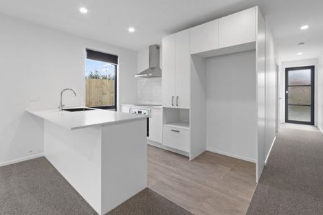 Photo of property in 4/155 Rimu Street, Maeroa, Hamilton, 3200