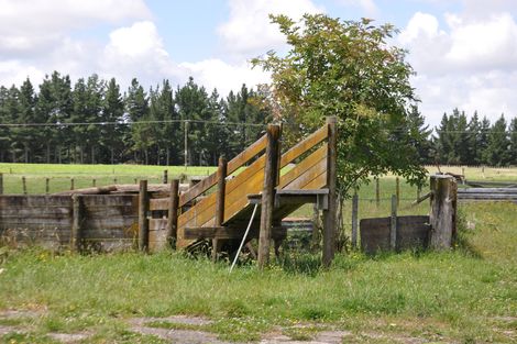 Photo of property in 1764 Kimbolton Road, Cheltenham, Feilding, 4777