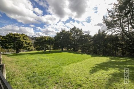 Photo of property in 202 Rapson Road, Kaukapakapa, 0871