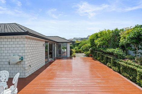 Photo of property in 11 Hoylake Place, Morrinsville, 3300