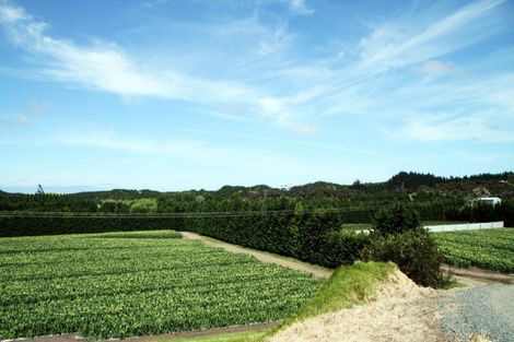 Photo of property in 3167 State Highway 1, Pukenui, Kaitaia, 0484