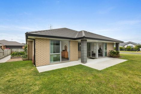 Photo of property in 8 Eastbank Drive, Katikati, 3129