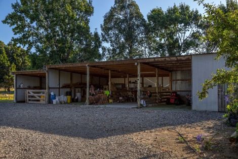 Photo of property in 182 Pukemiku Road, Mangamutu, Pahiatua, 4983