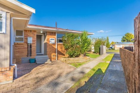 Photo of property in 91 Bruce Avenue, Glenview, Hamilton, 3206