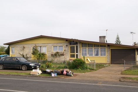 Photo of property in 21 Harania Avenue, Favona, Auckland, 2024