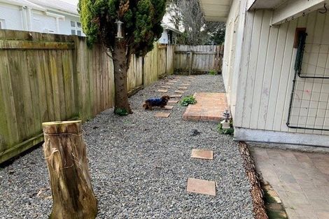 Photo of property in 52 Collingwood Street, Hokowhitu, Palmerston North, 4410