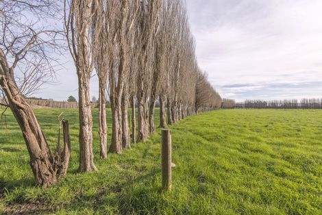 Photo of property in 10 Jelfs Road, Woodend Beach, Woodend, 7691