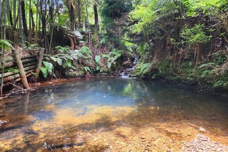 Photo of property in 314 Busby Road, Tahawai, Katikati, 3170