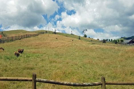 Photo of property in 8 Colin Drive, Komata, Paeroa, 3674