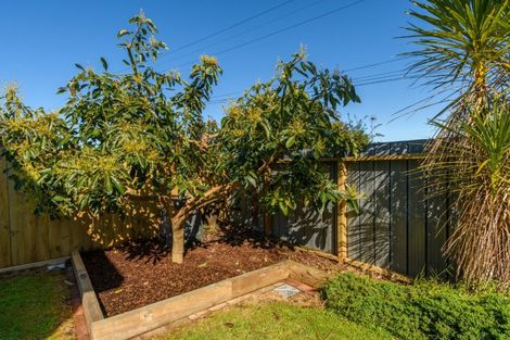 Photo of property in 28a Faulkner Street, Gate Pa, Tauranga, 3112