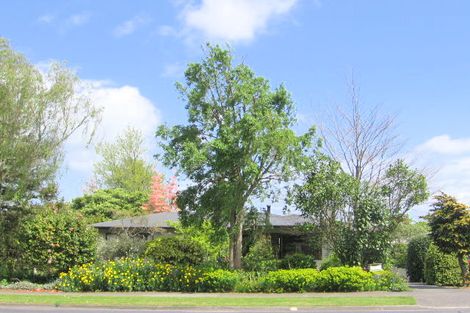 Photo of property in 115 Studholme Street, Morrinsville, 3300