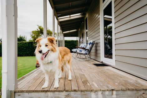 Photo of property in 524 Allanton Road, Outram, 9019