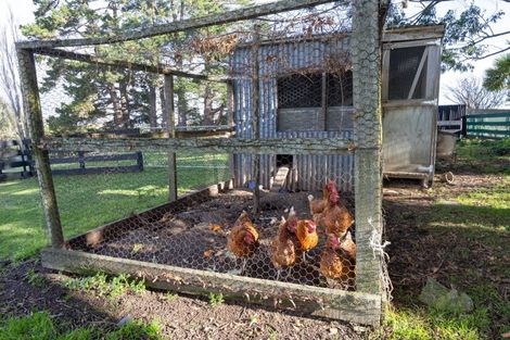 Photo of property in 658 Roberts Line, Kelvin Grove, Palmerston North, 4470