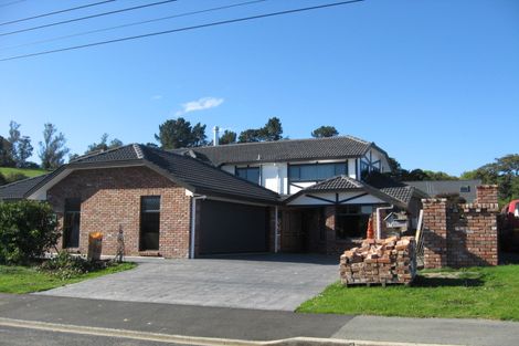 Photo of property in 133 North Taieri Road, Abbotsford, Dunedin, 9018
