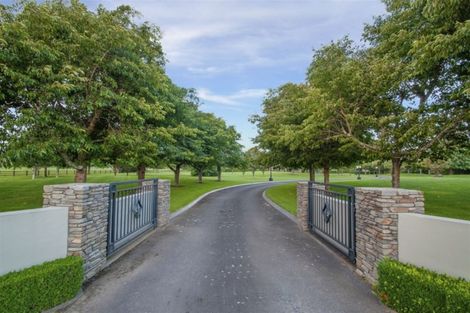 Photo of property in 241 Bellevue Road, Matangi, Hamilton, 3284