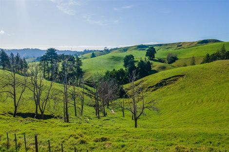 Photo of property in 1658 Ruapekapeka Road, Kawakawa, 0182
