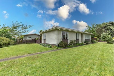 Photo of property in 30 Collingwood Street, Levin, 5510