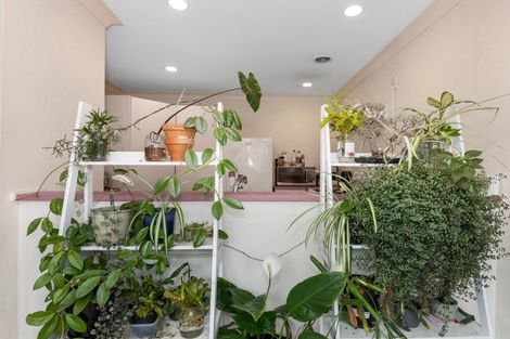 Photo of property in 10 Oak Street, Morrinsville, 3300