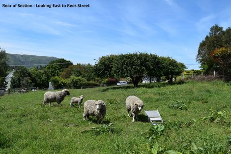 Photo of property in 20 Rees Street, Duntroon, 9494