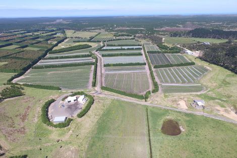 Photo of property in 3167 State Highway 1, Pukenui, Kaitaia, 0484