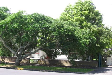 Photo of property in 18 King Edward Street, Mount Eden, Auckland, 1024