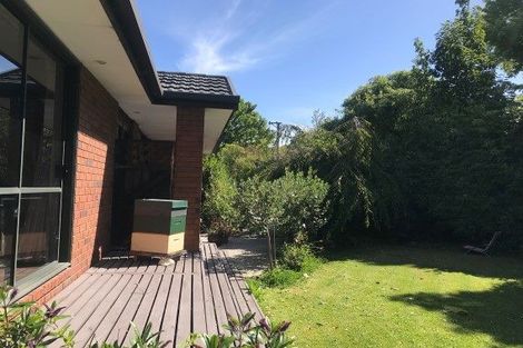 Photo of property in 36 Hamilton Avenue, Ilam, Christchurch, 8041