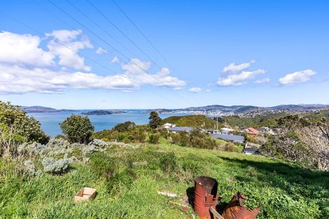 Photo of property in 51 Edgecombe Street, Newlands, Wellington, 6037