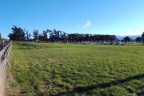 Photo of property in 12 Miles Lane, Carterton, 5713