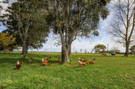 Photo of property in 76 Robertson Road, Ruawai, 0591
