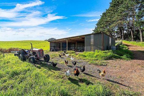 Photo of property in 533 Pataua South Road, Pataua South, Onerahi, 0192