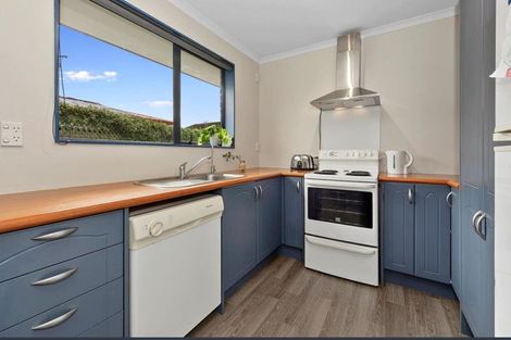 Photo of property in 48 Haultain Street, Fairfield, Hamilton, 3214