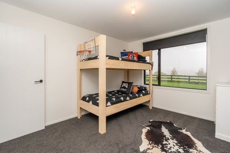 Photo of property in 54 O'shea Road, Pirongia, Te Awamutu, 3876