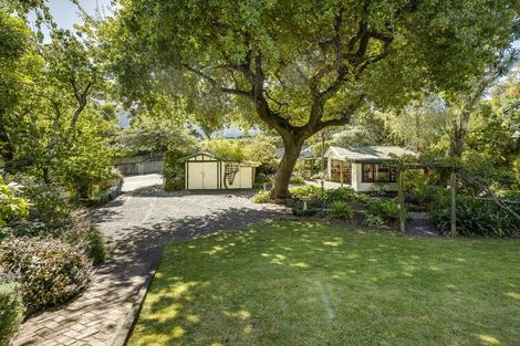 Photo of property in 19 Cameron Road, Bluff Hill, Napier, 4110